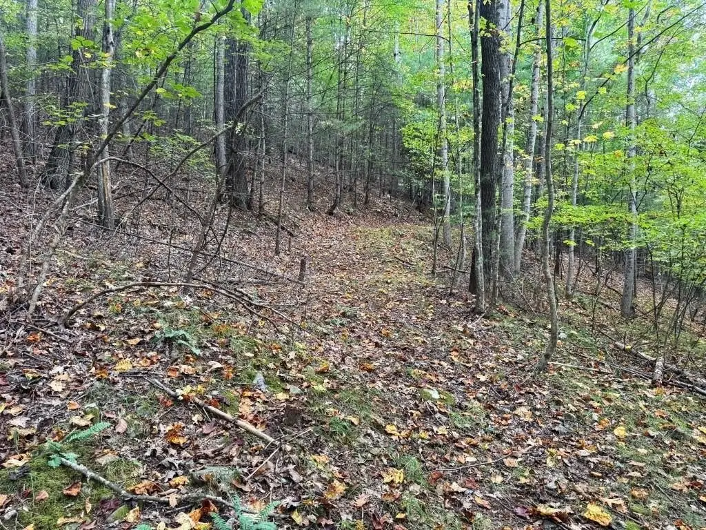 Picture 13