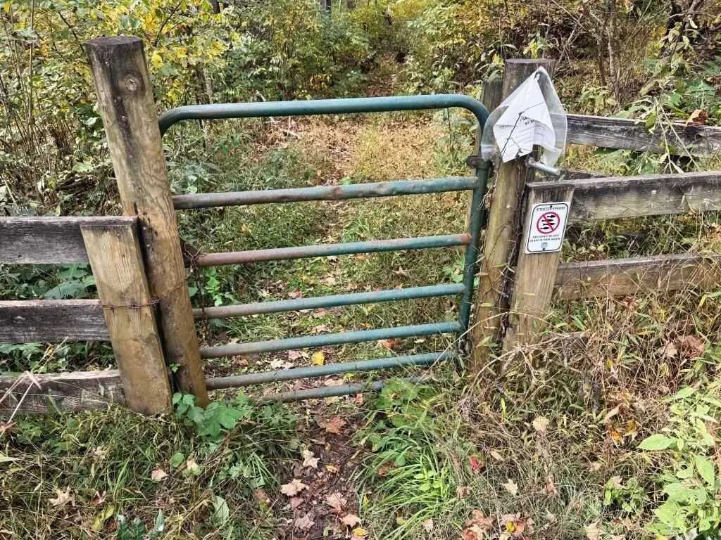 Picture 23