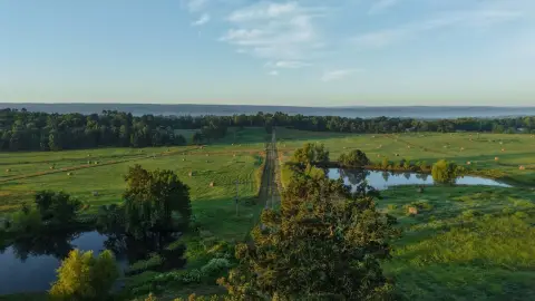 Productive Land with Hunting Potential