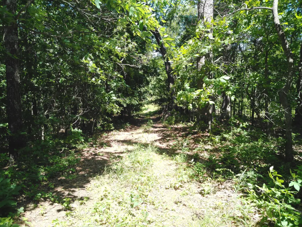 Picture 36