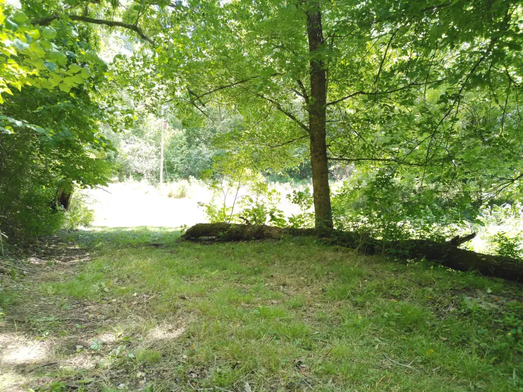 Picture 21