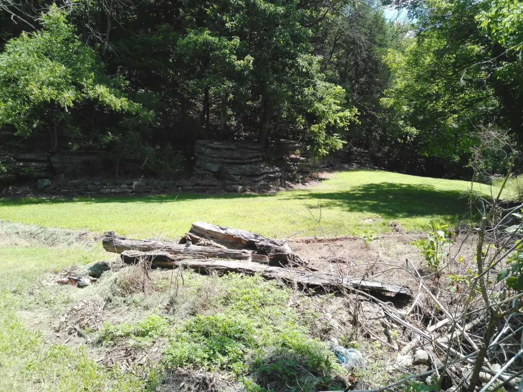 Picture 31