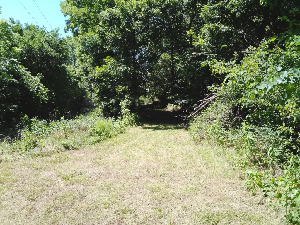 Picture 27
