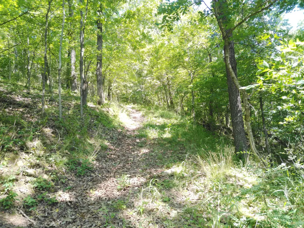 Picture 48