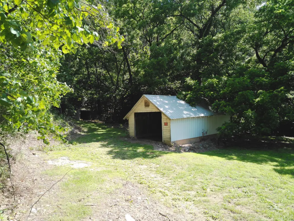 Picture 5