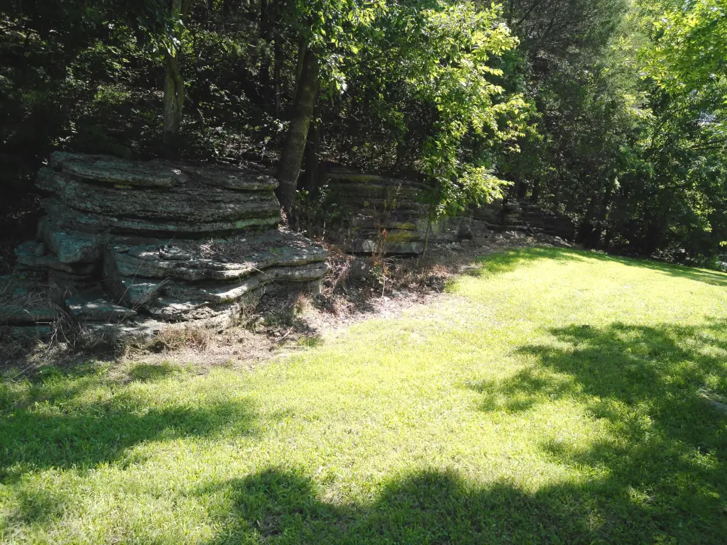 Picture 49