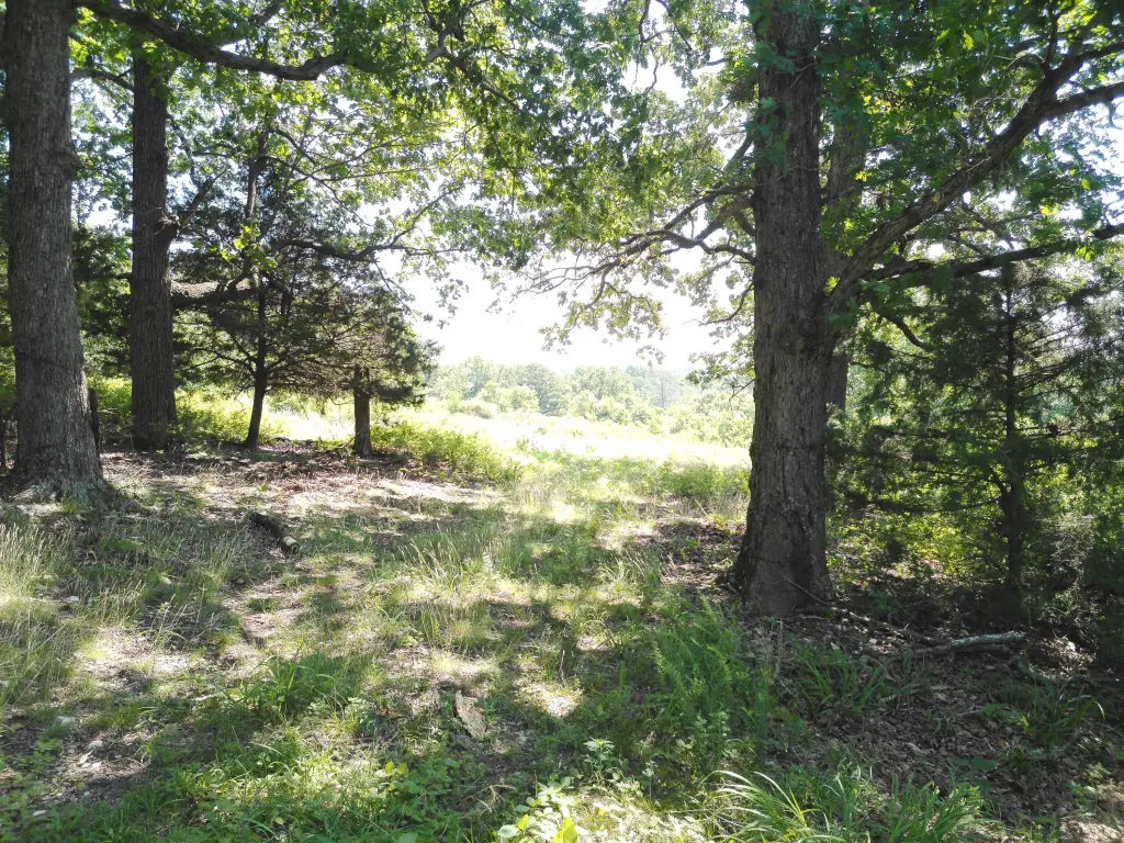 Picture 44