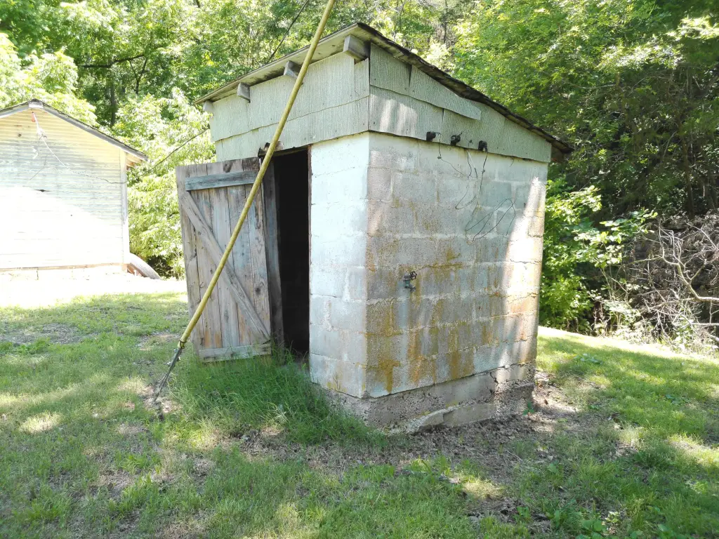 Picture 6