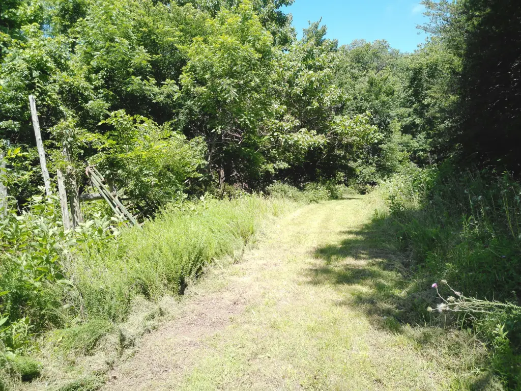 Picture 29