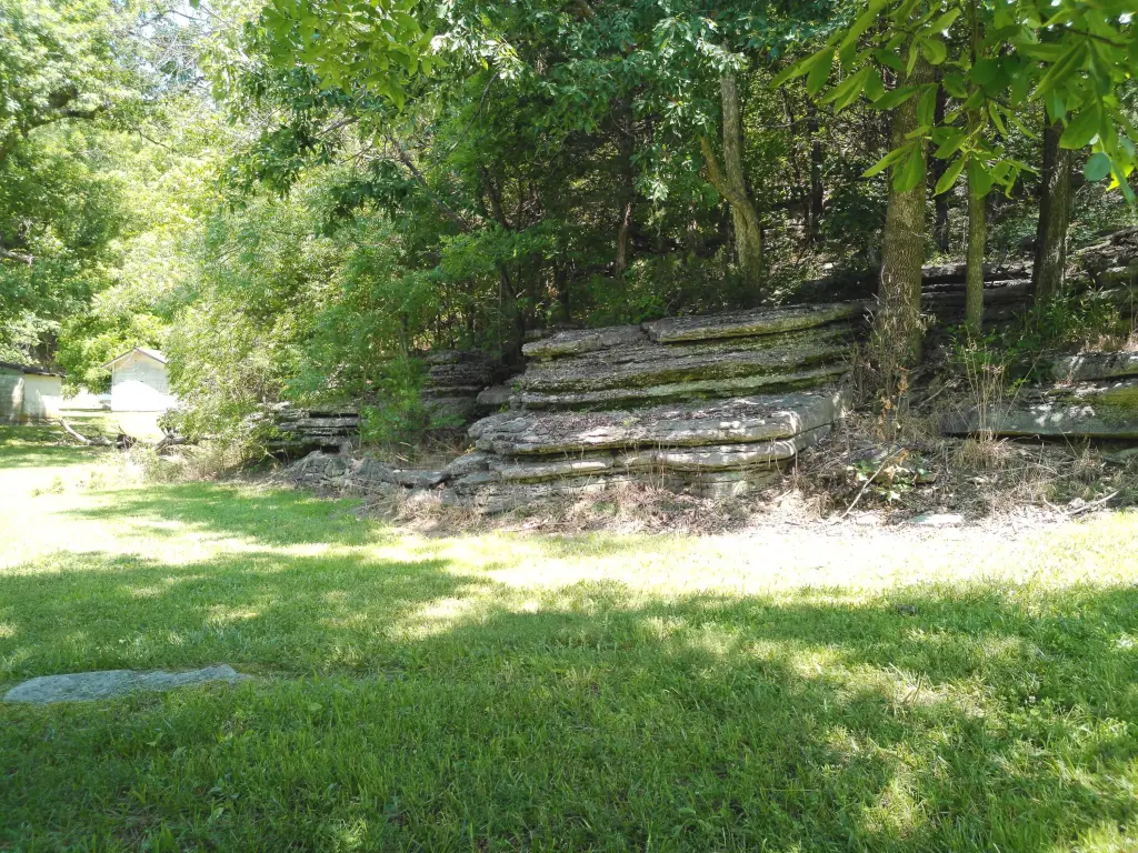 Picture 14