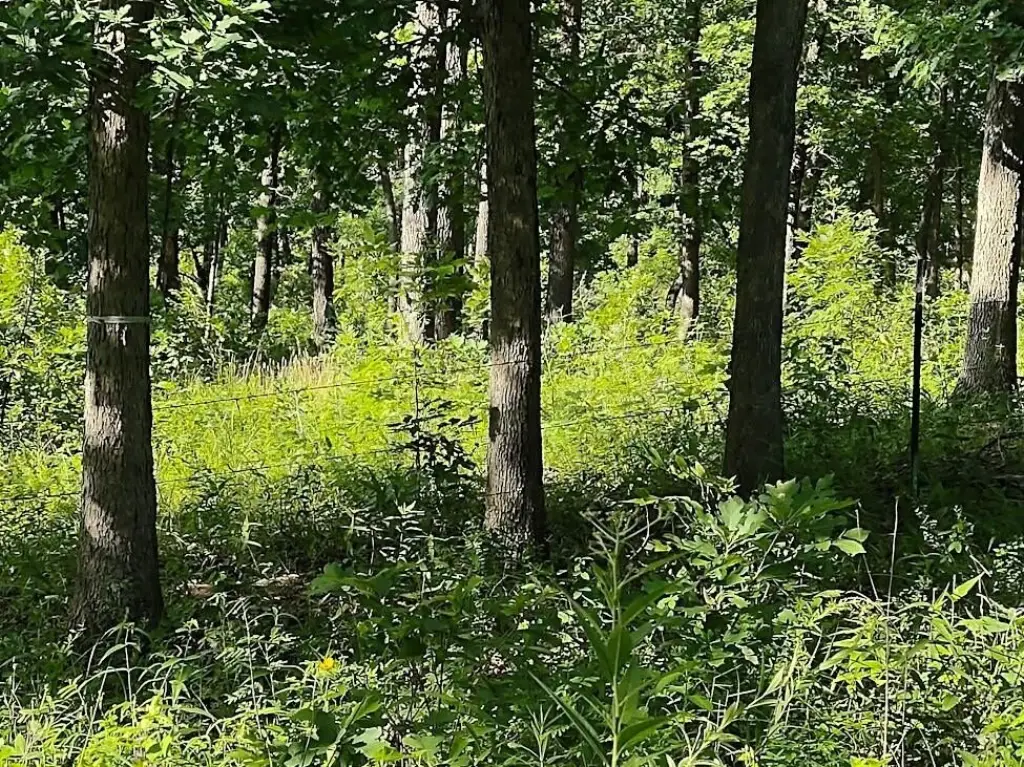 Picture 3