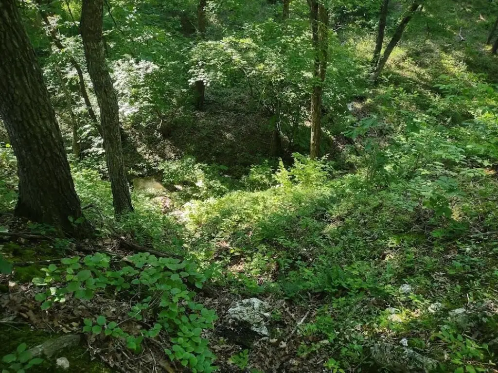 Picture 10