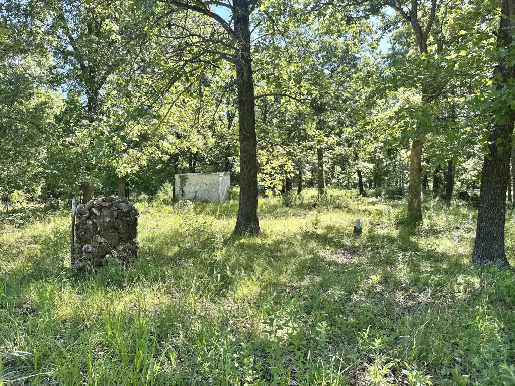 Picture 9
