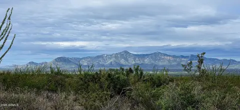 Hereford Desert Land with Views