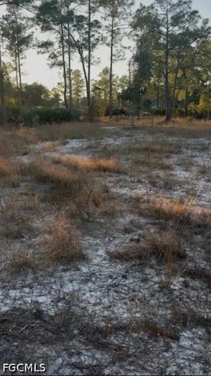 Picture 5