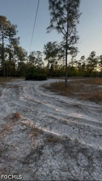 Picture 6