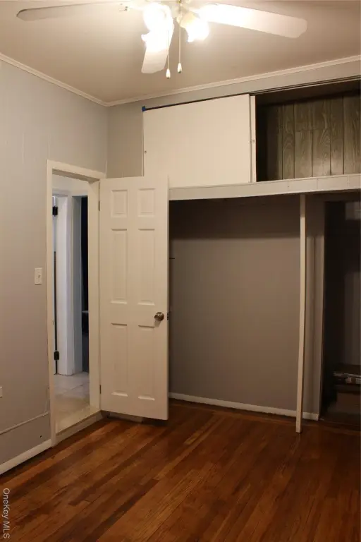 Picture 24