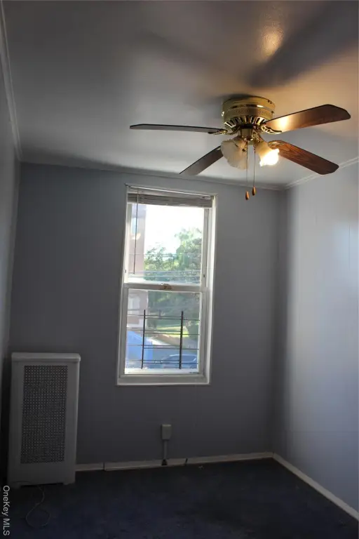 Picture 20