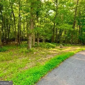 Warne, NC Land For Sale
