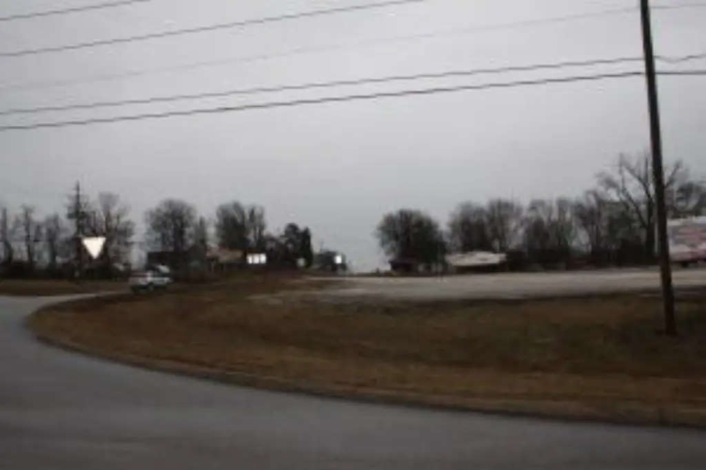 Picture 7
