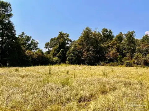 Molino Acreage Homesite Opportunity