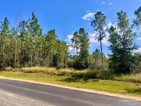 Molino Acreage in Gated Community