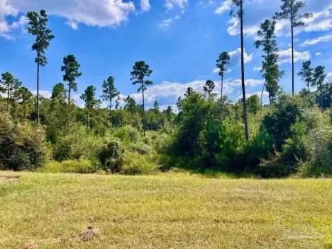 Molino, FL Acreage Homesite