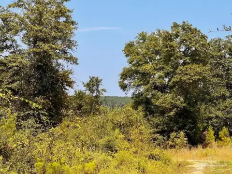 Molino Acreage Homesite Opportunity