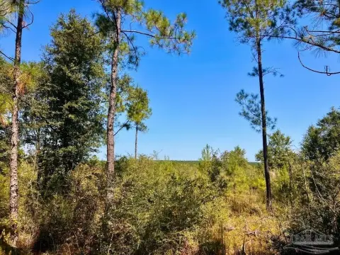 Molino Acreage in Gated Community