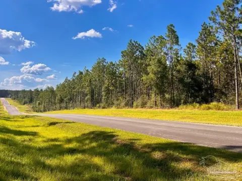 Molino Acreage Homesite Opportunity