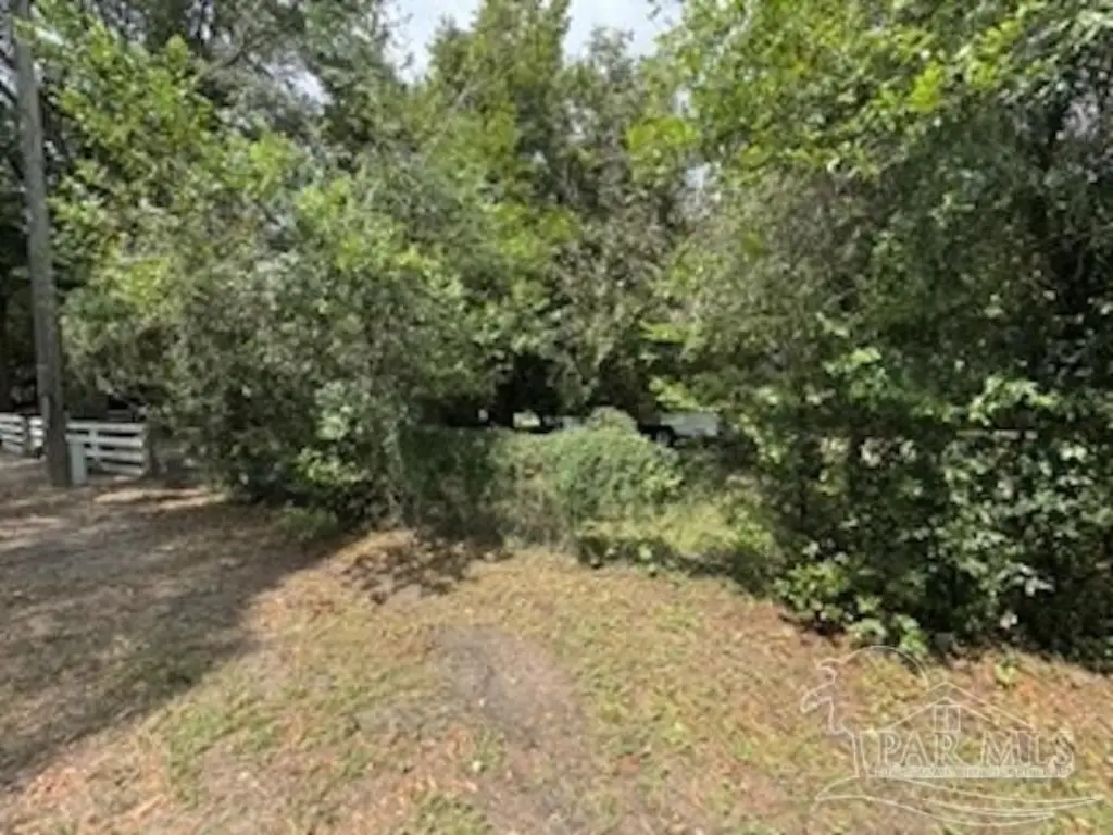 Picture 11