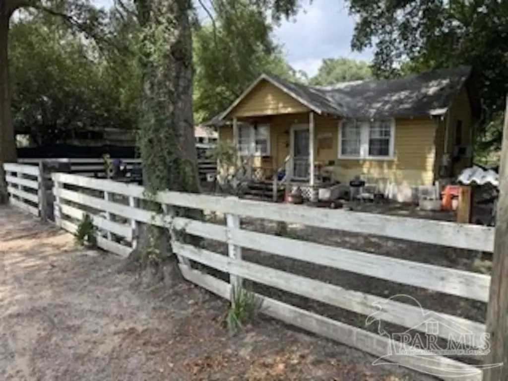 Picture 6