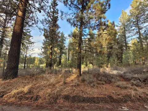Portola Acreage: 10-Lot Package