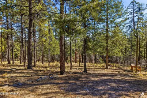 Alpine, AZ Land For Sale