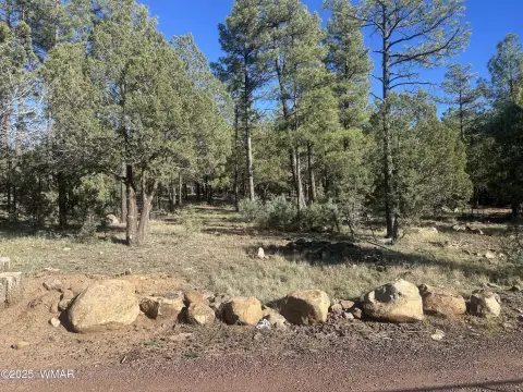 Lakeside, AZ Wooded Land