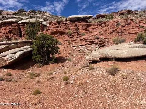 Land with Knoll Features