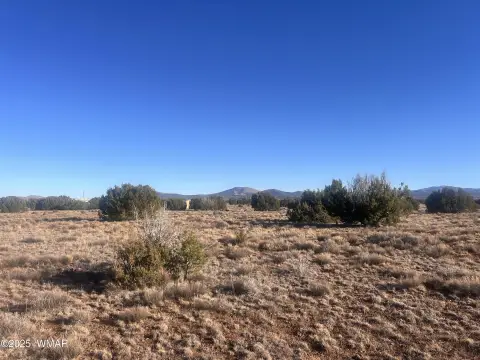 Vernon, AZ Land Parcel