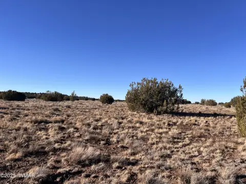 Vernon, AZ Land Parcel