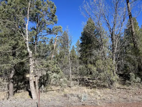 Lakeside, AZ Land Parcel