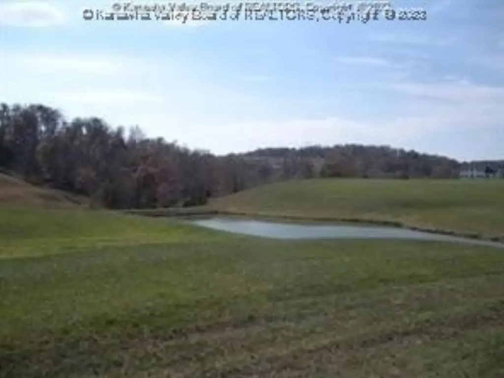 Picture 11