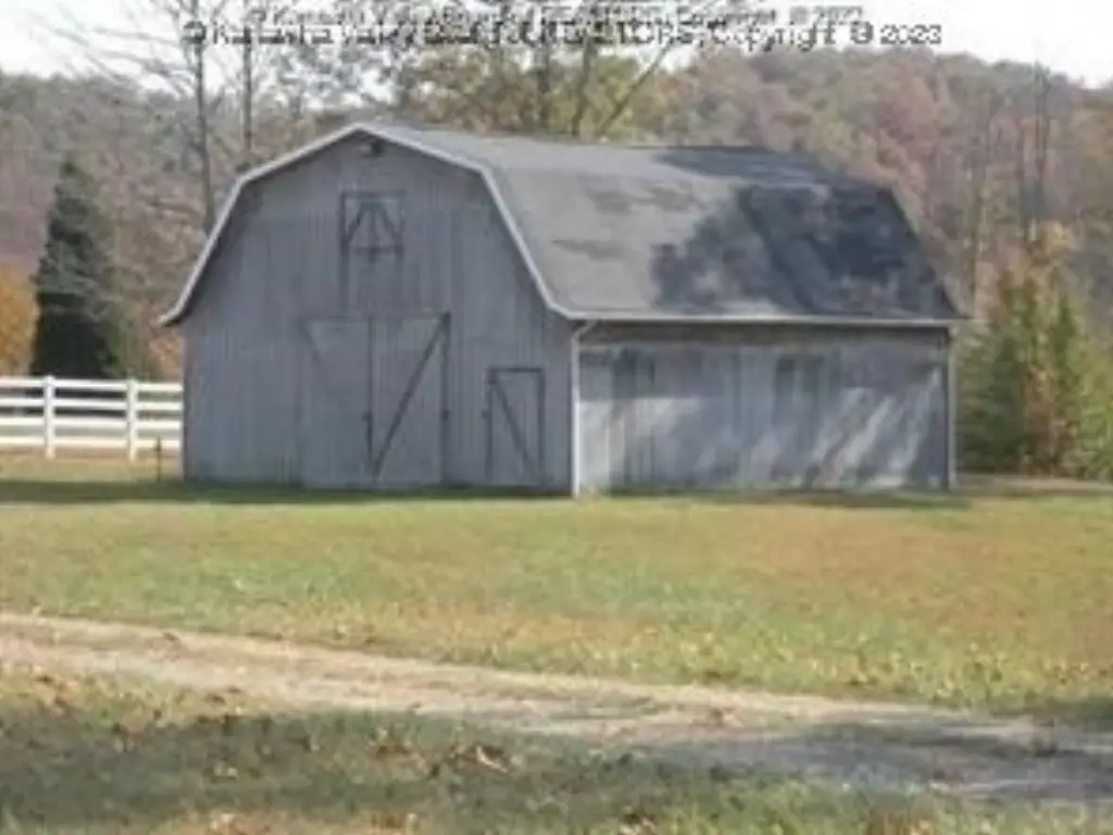 Picture 8