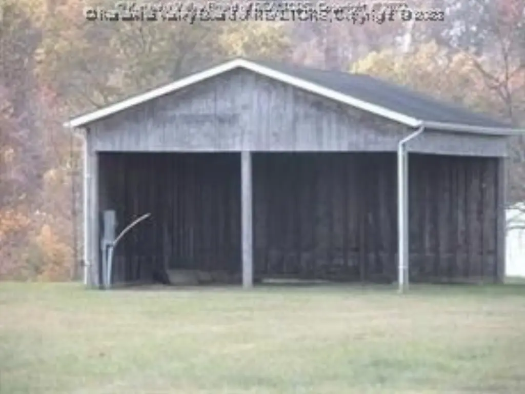 Picture 9