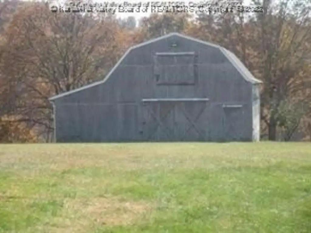 Picture 7