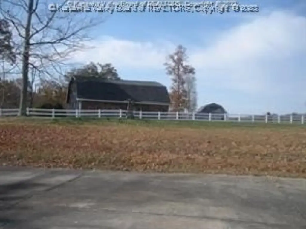 Picture 19