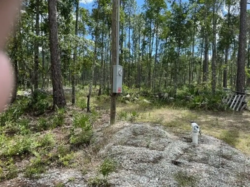 Picture 4