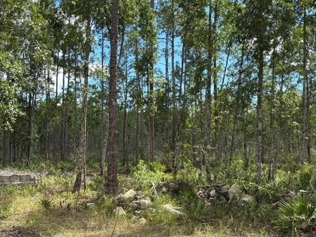 Picture 9