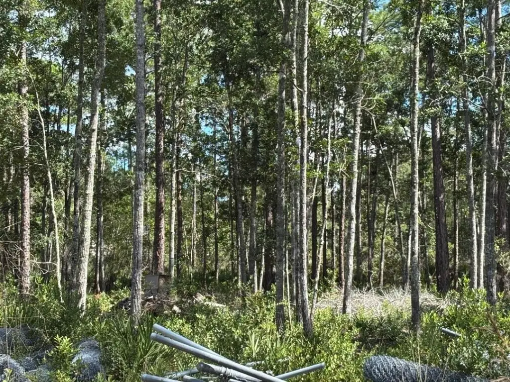 Picture 14