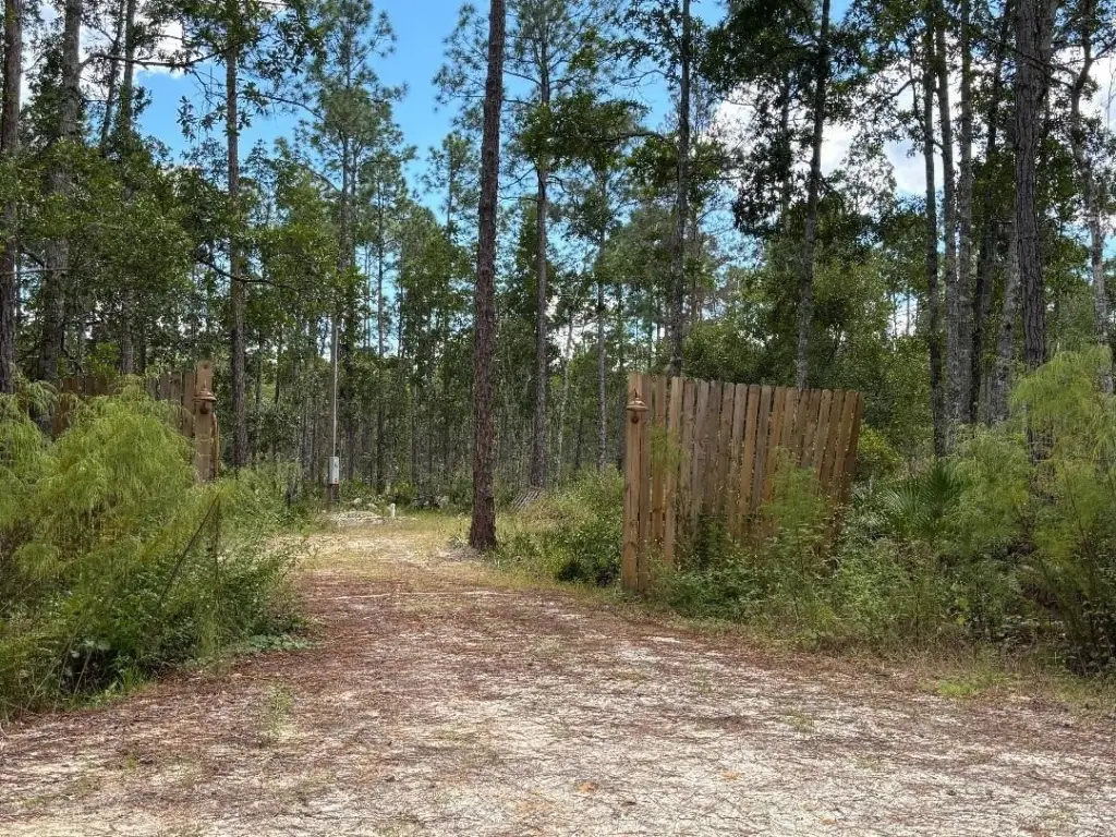 Picture 5