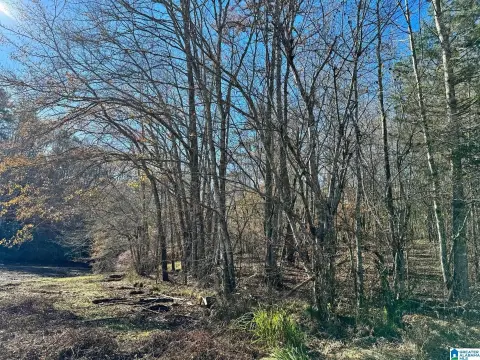 Waterfront Acreage in Wedowee, Alabama