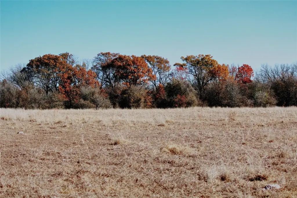 Picture 11